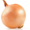 organic onion