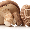 organic mushroom