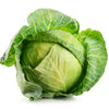 organic cabbage