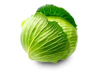 organic cabbage