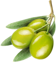 fresh olive