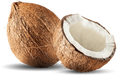 organic coconut
