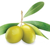 fresh olive